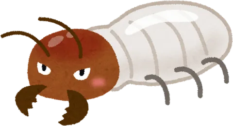 シロアリのイラスト