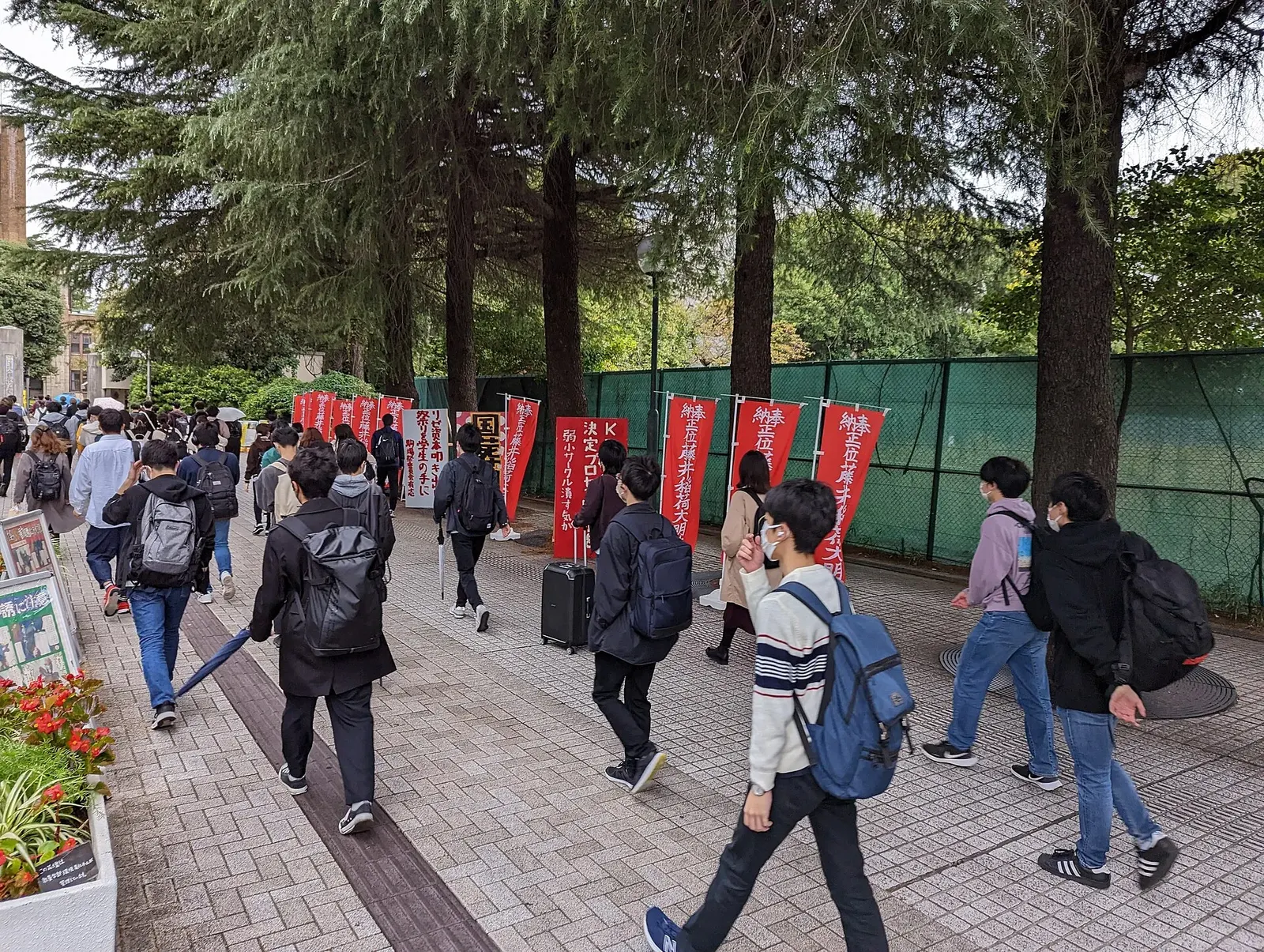 のぼりの並ぶ並木道を大学へ歩く学生たち